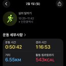메가런