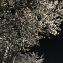 무명초밥 | ~20230411