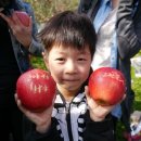 오전애마을 네이버블로그