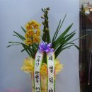 새명약국 이미지