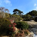 안국사지 이미지