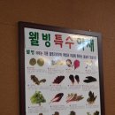 명성쌈밥 이미지