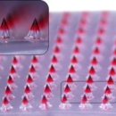 주식회사 대한팜 이미지