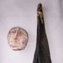 한국의 산삼과 상황버섯 이미지