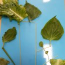 봉남어린이집 이미지