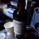 소야 솔밭 이미지