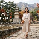 동국카정비 | 양양 진전사지 - 한국 선종이 시작된 설악산 자락의 빈 절터 (국보 삼층석탑·도의선사탑)