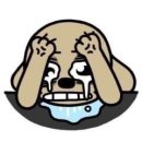 두꺼비로60번길(3-248) | 떠나자 어디든 난 좋아