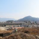 월평주유소