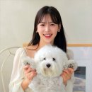 대박이집 이미지