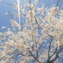 화랑광고스포츠