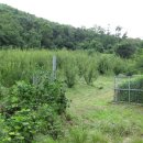 안정농장 이미지