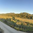 홍천봉구네한우 이미지