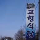 상록수 이미지