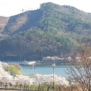 한마당바베큐 - 세종특별자치시 복골길 27-7 | 한마당바베큐