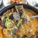 부산 피순대맛집 조광심민속왕순대 내돈내산 솔직후기