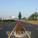 남승룡로 이미지