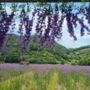 월곡마을 이미지