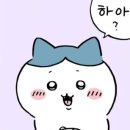 [강남구] 츠케멘 소유라멘 가가라아게 카레 메뉴 추천_참프루 선정릉