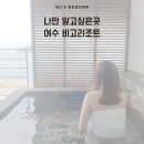 비고리조트 15 이미지