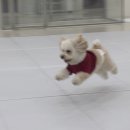 개린이살롱 이미지