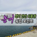 방아머리선착장 | 경기 안산 시흥권 시화방조제 방아머리 구봉도 대부도 농어 포인트