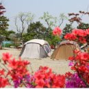 알짜천국 이미지