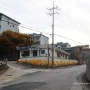 흥전3리 이미지