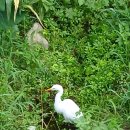 중선포천 이미지