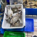 삼일수산식당 이미지