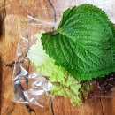 정가네 왕족발 네이버블로그