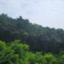 동화카센타 이미지