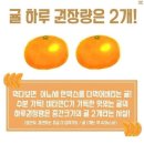 마카롱롱롱 네이버블로그