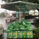 조수리 플로어 이미지