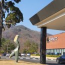 김천포도CC 티스토리