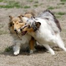 부천역사(주) 이미지