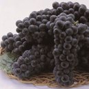 (주)포도 이미지