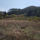 수원-0207 이미지