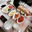 새조개 레전드 맛집 -막줄래회집