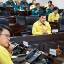 안규백 카카오 검색결과