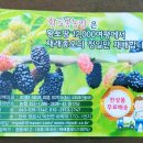 황토뽕 농장 이미지