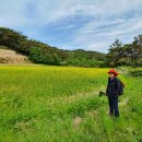 매촌경로당 이미지