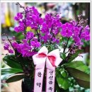 신세계꽃집 이미지