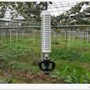 참다래농장 | 키위 참다래 농장에 견학다녀왔어요.