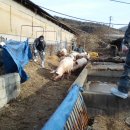 웅담2리 이미지