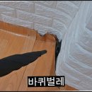 최강부동산중개 이미지