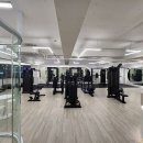 바디스케치 이미지