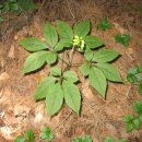 구심농장 이미지