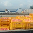 요한농장 이미지