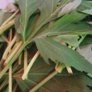 이재숙농장 이미지